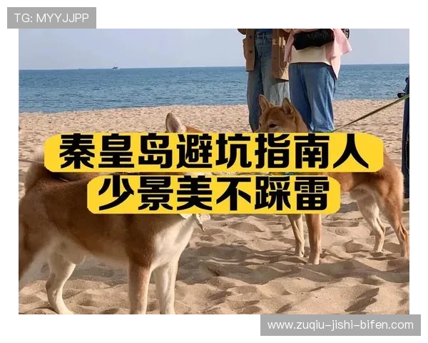 开云玩球赔率高吗避坑指南揭秘数字高频玩法